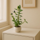 Artificial Plant